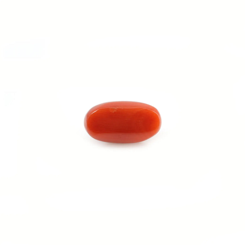 Red Coral - 4.2 Carat - Pramogh