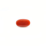 Red Coral - 4.2 Carat - Pramogh