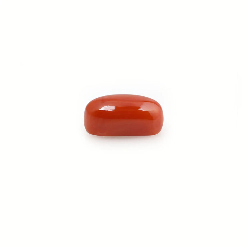 Red Coral - 4.2 Carat - Pramogh