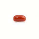 Red Coral - 4.2 Carat - Pramogh