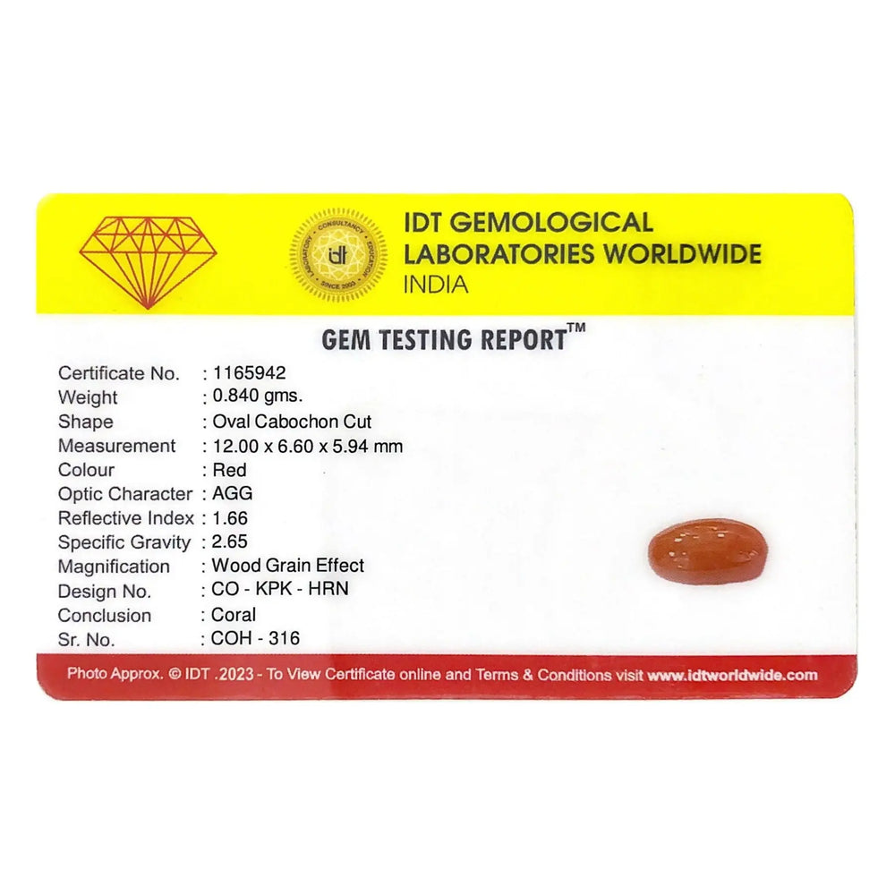 Red Coral - 4.2 Carat - Pramogh