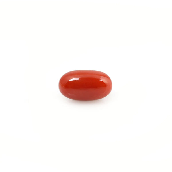 Red Coral - 3.98 Carat