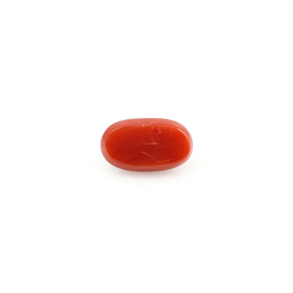 Red Coral - 3.98 Carat