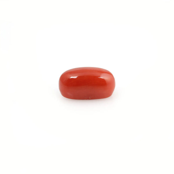 Red Coral - 3.98 Carat