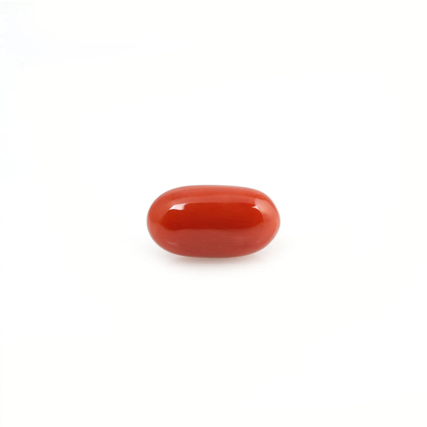 Red Coral - 4.2 Carat - Pramogh