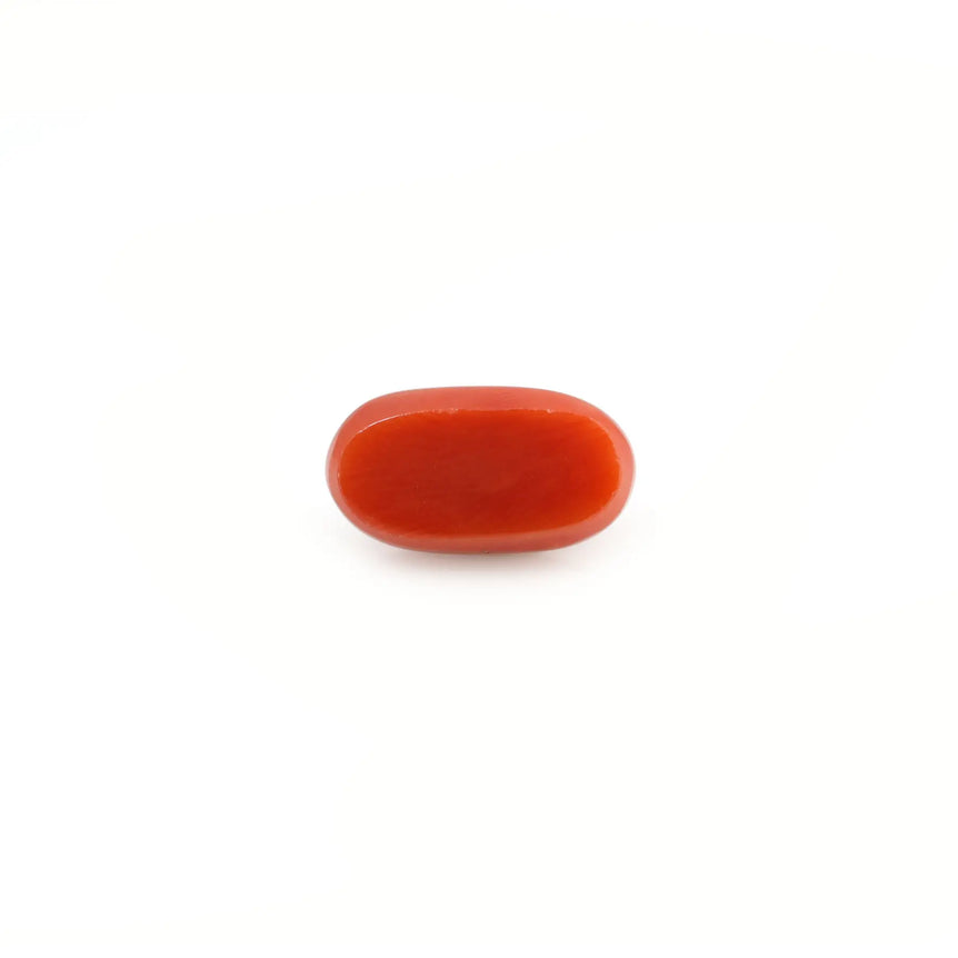 Red Coral - 4.2 Carat - Pramogh