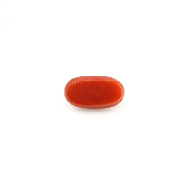 Red Coral - 4.2 Carat