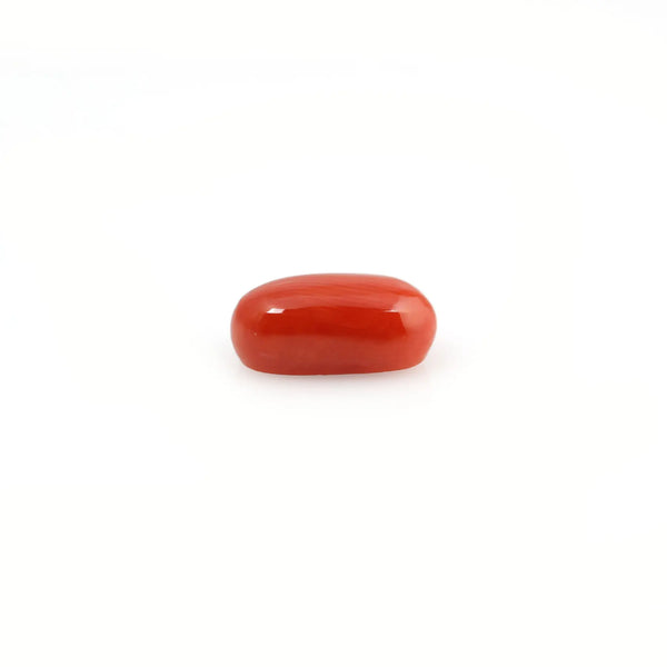 Red Coral - 4.2 Carat