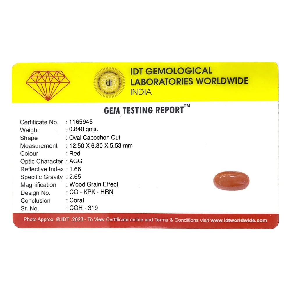 Red Coral - 4.2 Carat - Pramogh