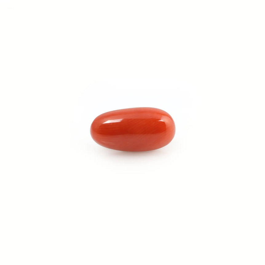 Red Coral - 5.14 Carat - Pramogh