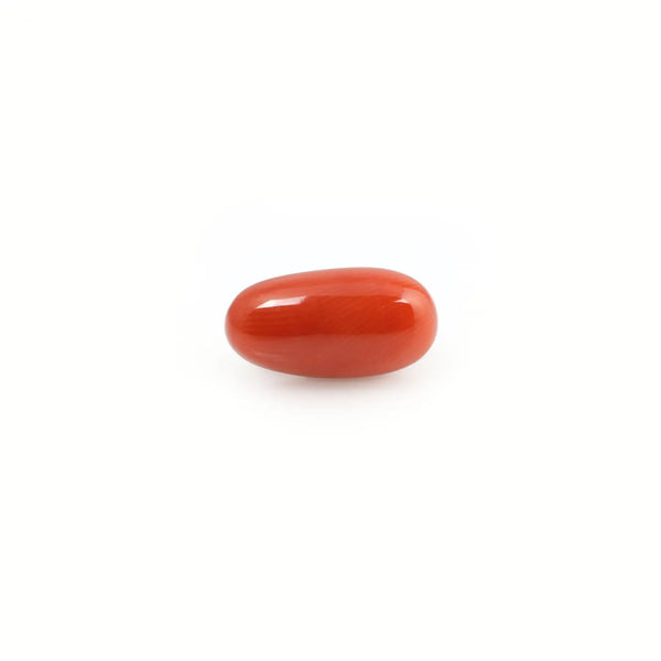 Red Coral - 5.14 Carat