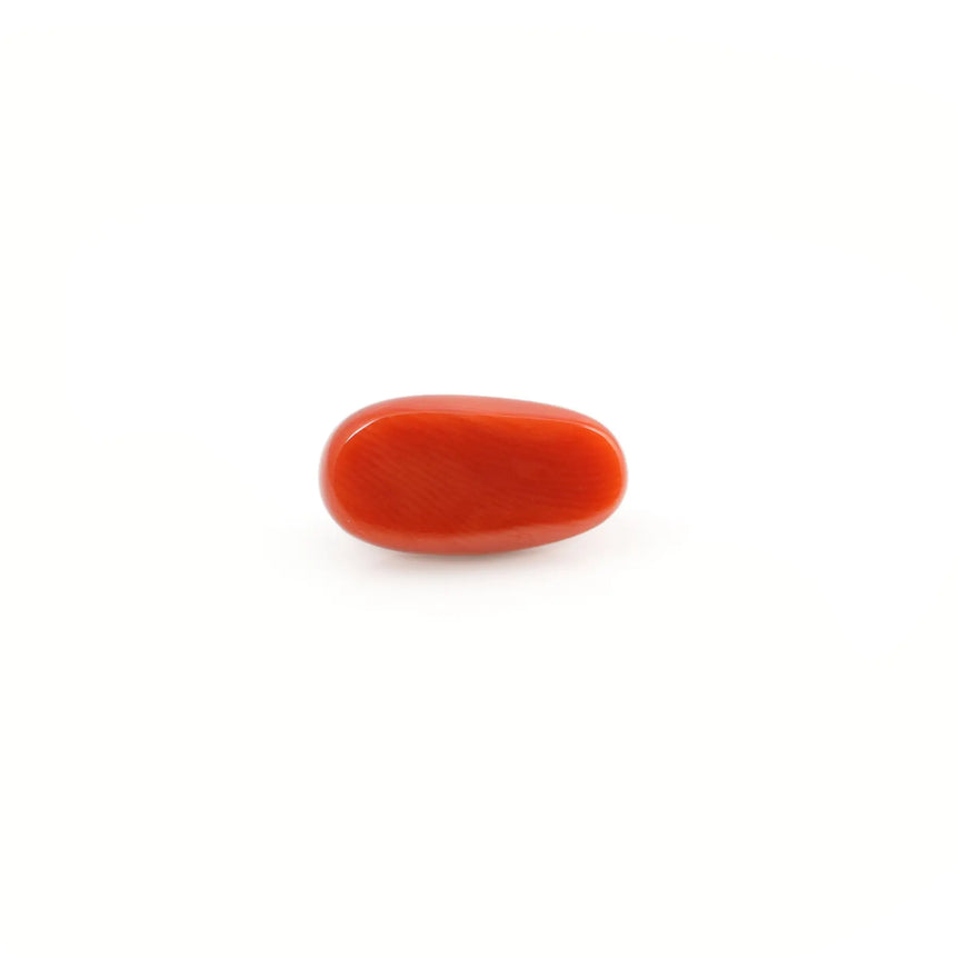 Red Coral - 5.14 Carat - Pramogh