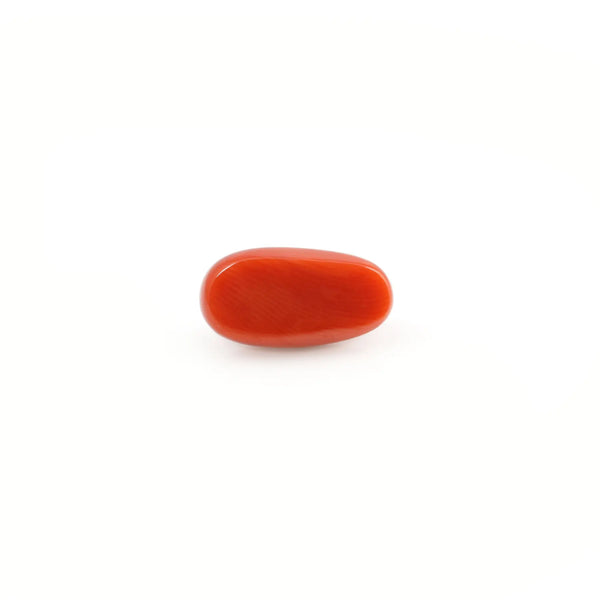 Red Coral - 5.14 Carat