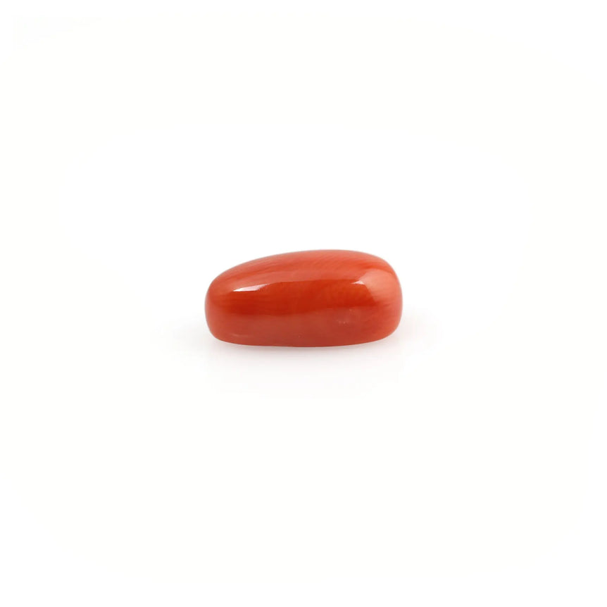 Red Coral - 5.14 Carat - Pramogh