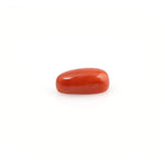 Red Coral - 5.14 Carat - Pramogh