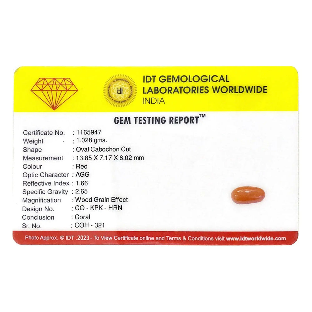 Red Coral - 5.14 Carat - Pramogh