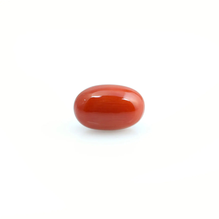 Red Coral - 3.95 Carat - Pramogh