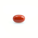 Red Coral - 3.95 Carat - Pramogh