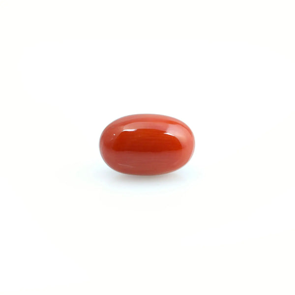 Red Coral - 3.95 Carat