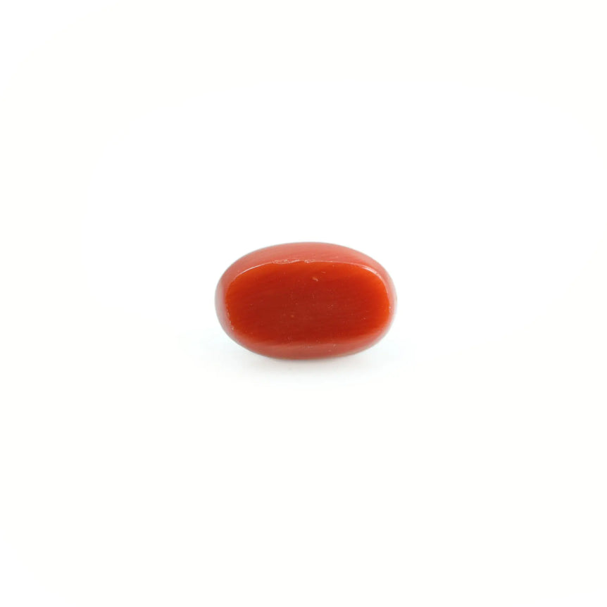 Red Coral - 3.95 Carat - Pramogh