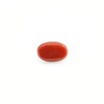 Red Coral - 3.95 Carat - Pramogh