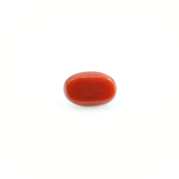 Red Coral - 3.95 Carat