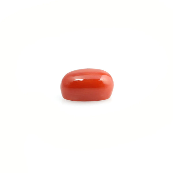 Red Coral - 3.95 Carat