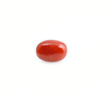 Red Coral - 4.2 Carat - Pramogh