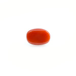 Red Coral - 4.2 Carat - Pramogh