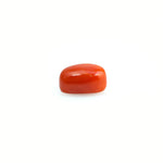 Red Coral - 4.2 Carat - Pramogh