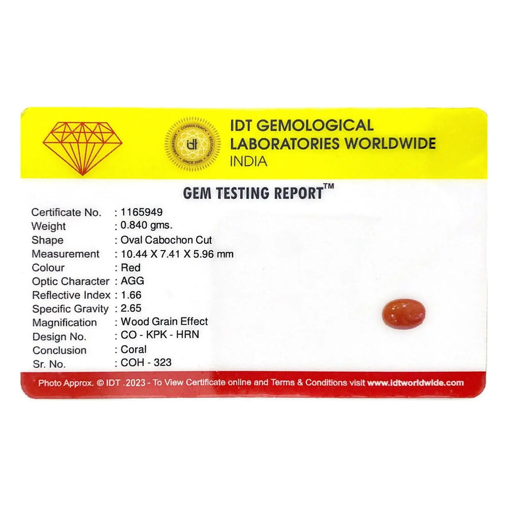 Red Coral - 4.2 Carat - Pramogh