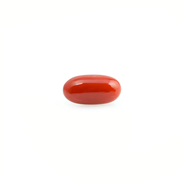 Red Coral - 4.07 Carat