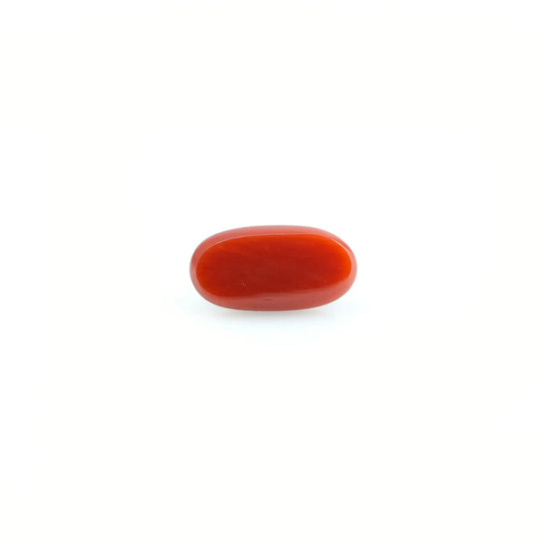 Red Coral - 4.07 Carat