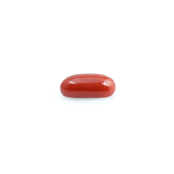 Red Coral - 4.07 Carat