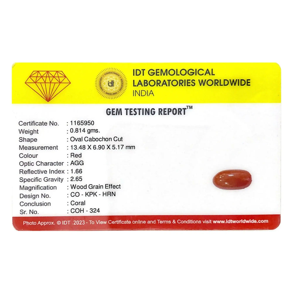 Red Coral - 4.07 Carat - Pramogh