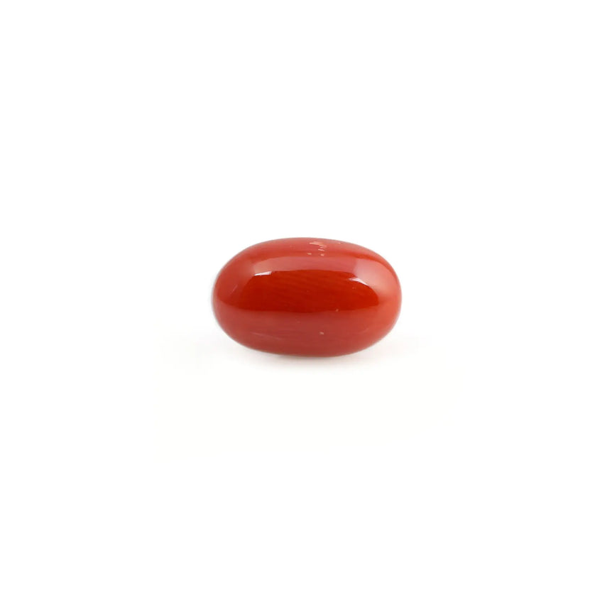 Red Coral - 4.6 Carat - Pramogh
