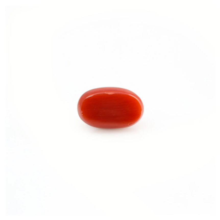 Red Coral - 4.6 Carat - Pramogh