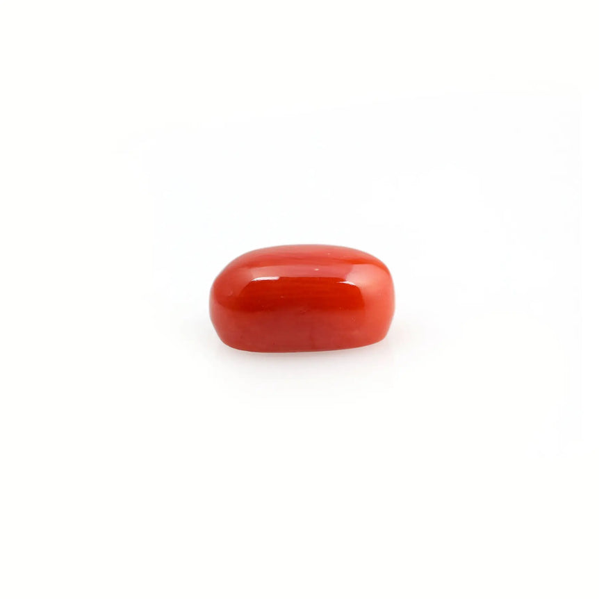 Red Coral - 4.6 Carat - Pramogh