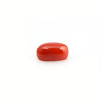 Red Coral - 4.6 Carat - Pramogh