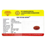 Red Coral - 4.6 Carat - Pramogh