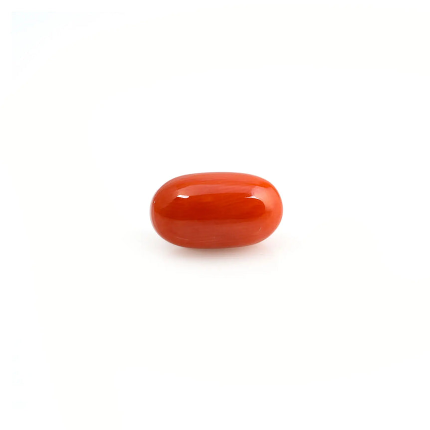 Red Coral - 4.83 Carat - Pramogh