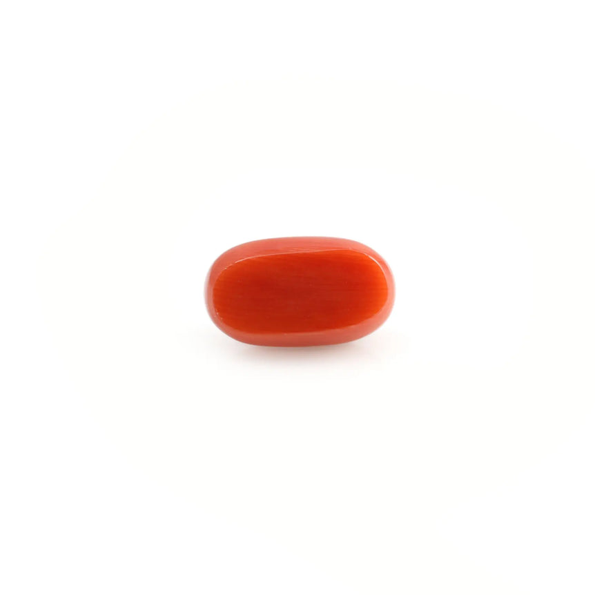 Red Coral - 4.83 Carat - Pramogh