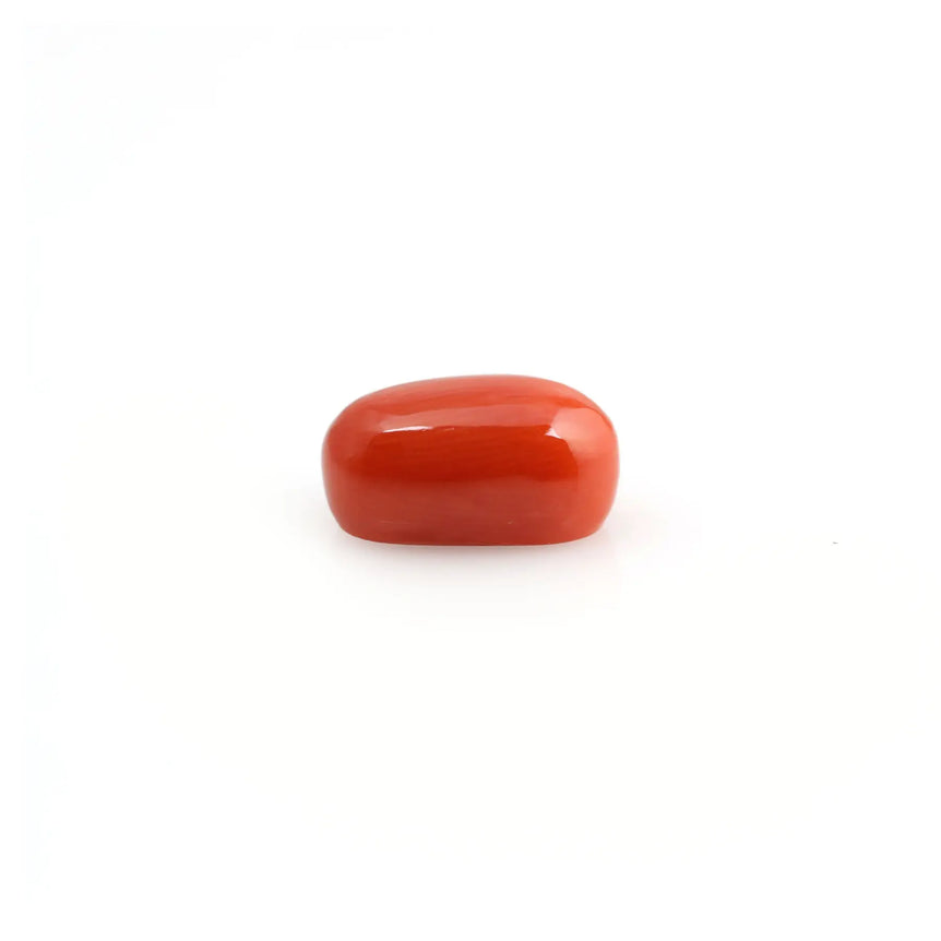 Red Coral - 4.83 Carat - Pramogh