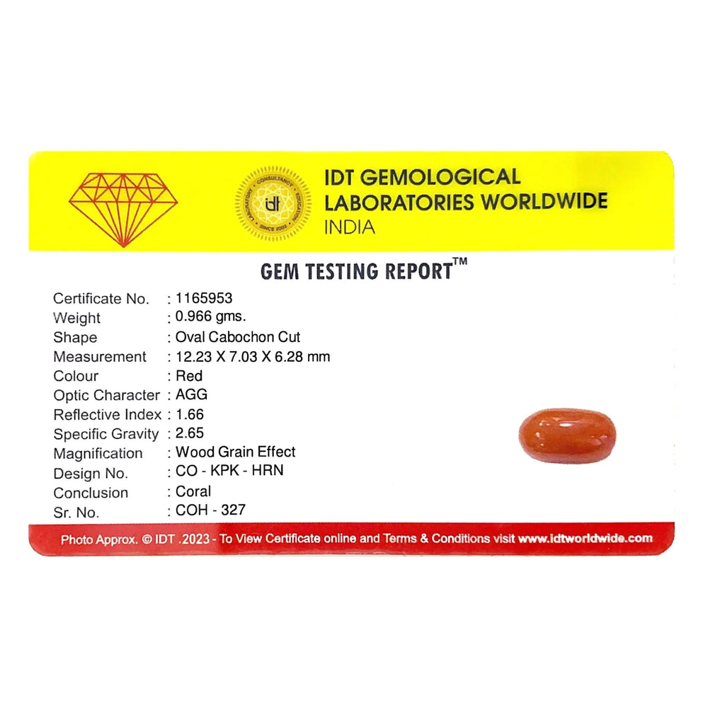 Red Coral - 4.83 Carat - Pramogh