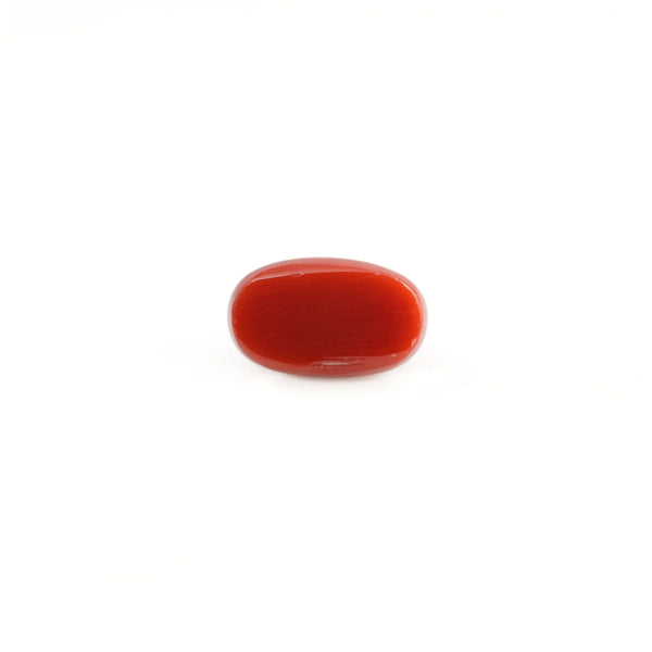 Red Coral - 4.61 Carat