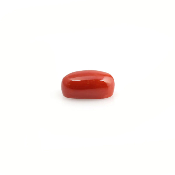 Red Coral - 4.61 Carat