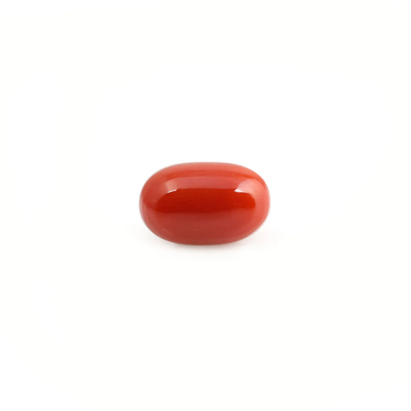 Red Coral - 4.2 Carat