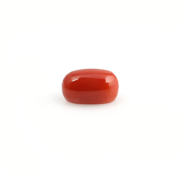 Red Coral - 4.2 Carat