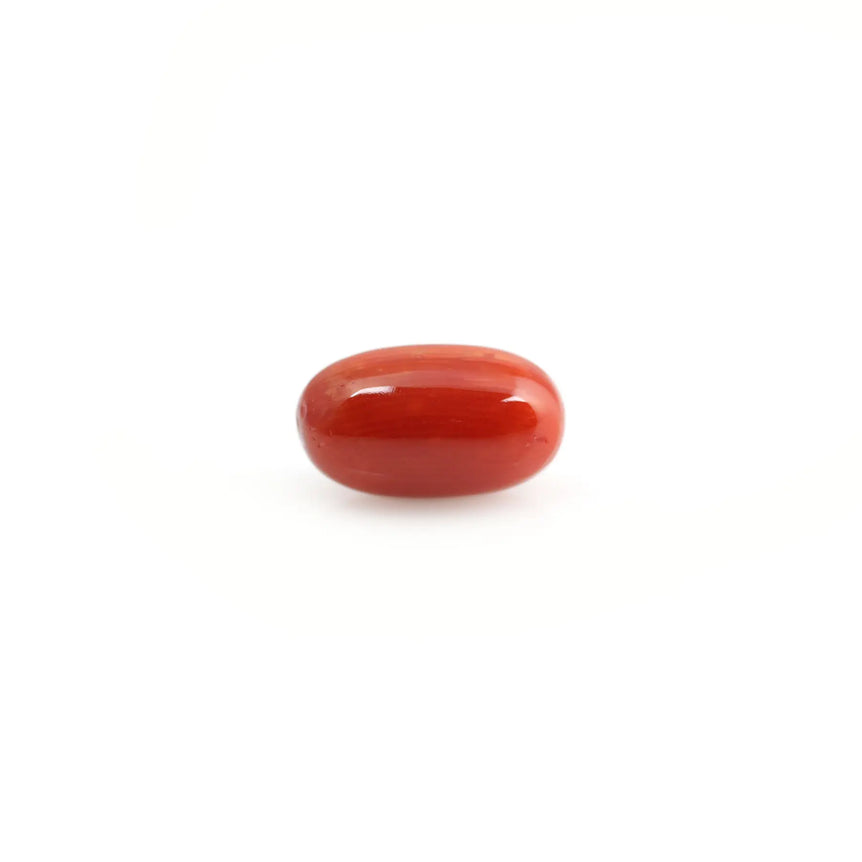 Red Coral - 5.1 Carat - Pramogh