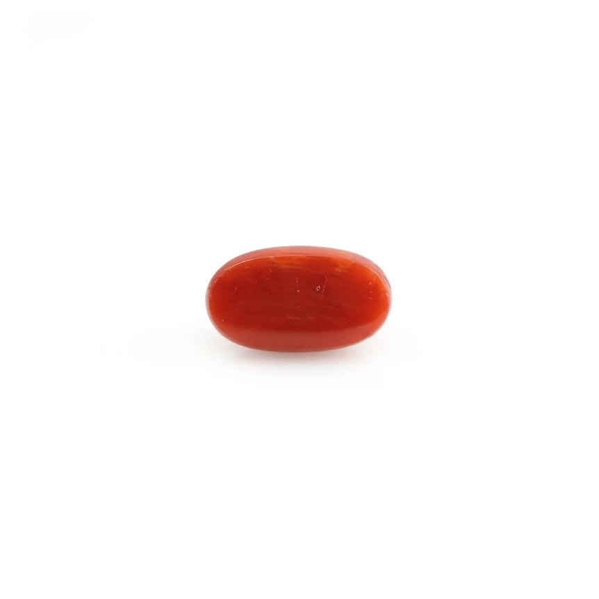 Red Coral - 5.1 Carat - Pramogh